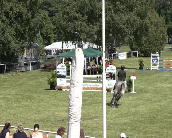 Reitturnier Pennigbüttel 2022