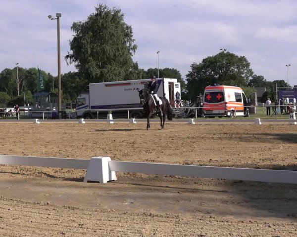 Reitturnier Pennigbüttel 2022