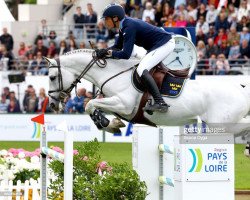 stallion Coperphild 242 FIN (Westphalian, 2004, from Cornet Obolensky)