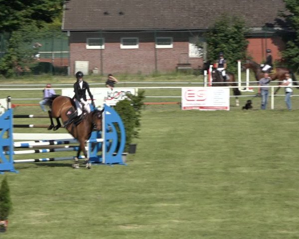 Reitturnier Pennigbüttel 2022
