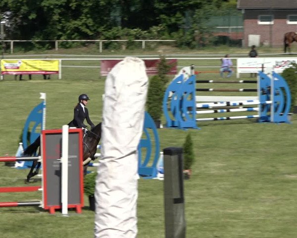 Reitturnier Pennigbüttel 2022
