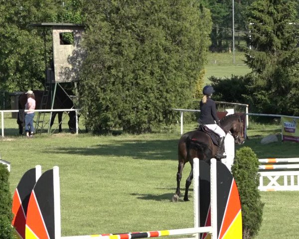 Reitturnier Pennigbüttel 2022