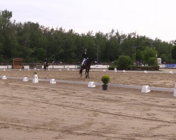 Reitturnier Frechen-Grefrath - Sonnenhof 2022