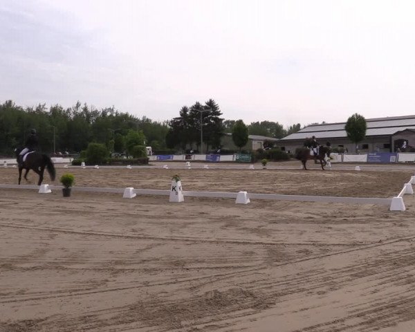 Reitturnier Frechen-Grefrath - Sonnenhof 2022