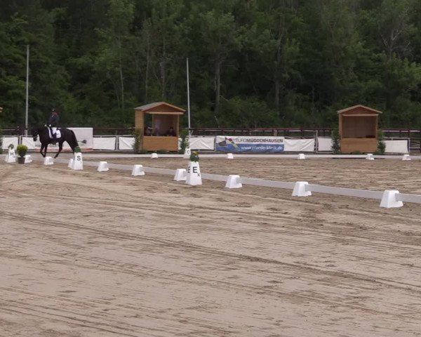 Reitturnier Frechen-Grefrath - Sonnenhof 2022