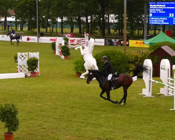 Reitturnier Cottbus-Sielow 2022