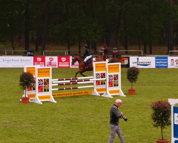 Reitturnier Cottbus-Sielow 2022