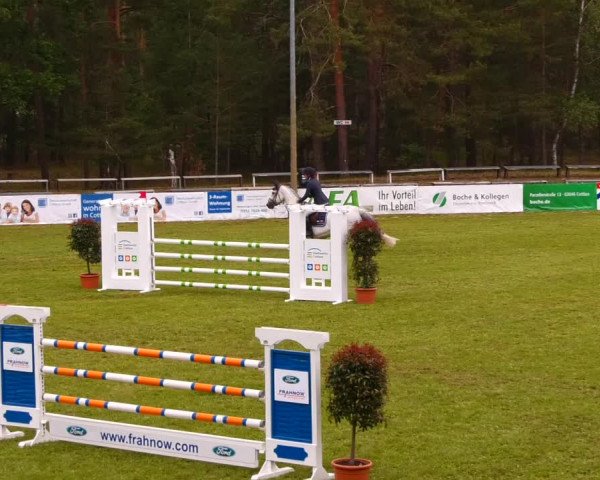 Reitturnier Cottbus-Sielow 2022