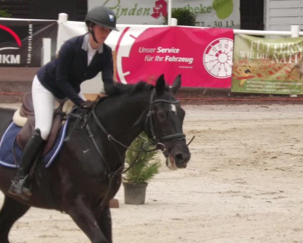 Reitturnier Losheim am See 2022