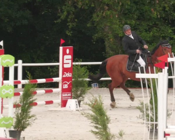Reitturnier Losheim am See 2022