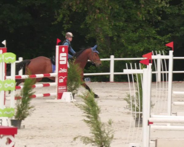 Reitturnier Losheim am See 2022