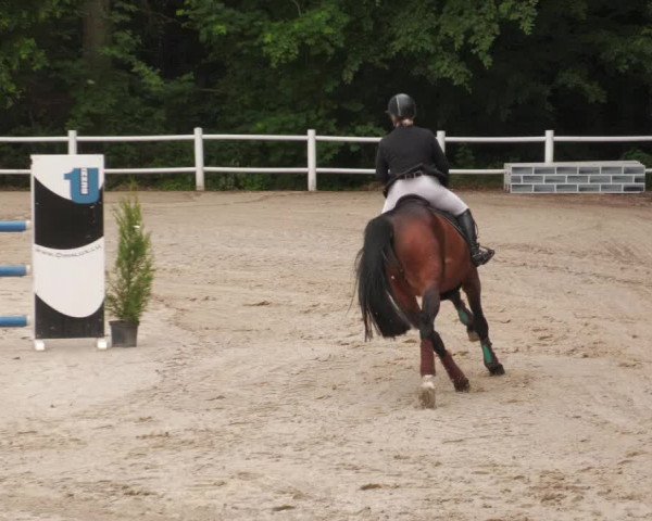 Reitturnier Losheim am See 2022