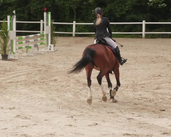 Reitturnier Losheim am See 2022