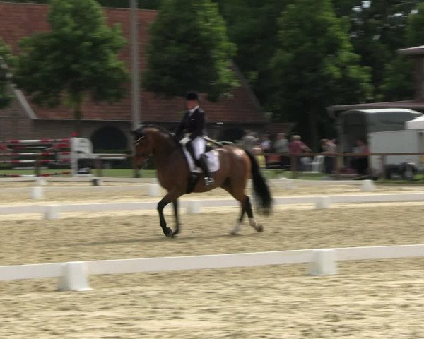 Reitturnier Everswinkel 2022