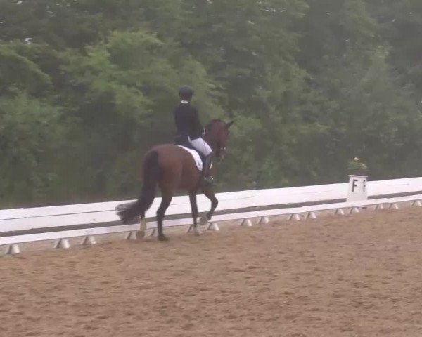 Reitturnier Neustadt/Aisch/Mfr. 2022