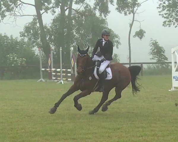 Reitturnier Neustadt/Aisch/Mfr. 2022