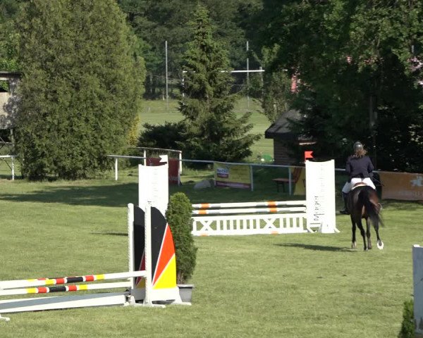 Reitturnier Pennigbüttel 2022