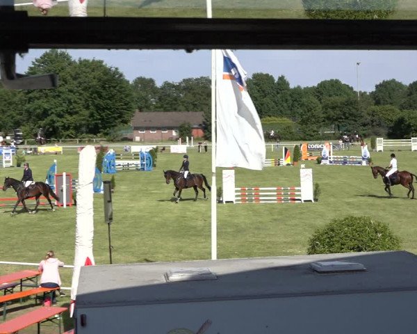 Reitturnier Pennigbüttel 2022