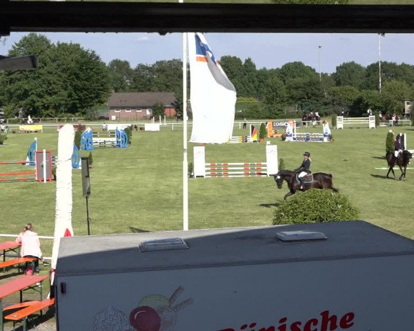 Reitturnier Pennigbüttel 2022