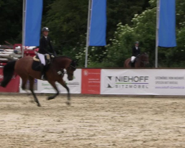 Reitturnier Everswinkel 2022