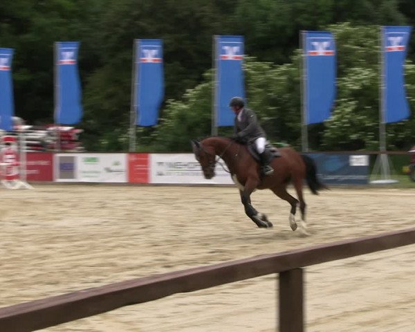 Reitturnier Everswinkel 2022