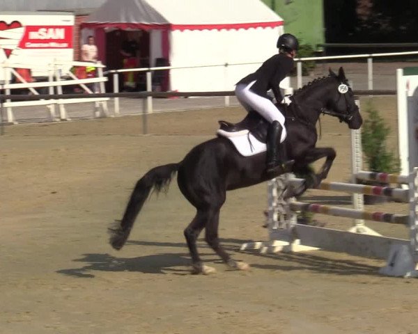 Reitturnier Ostenfelde-Vornholz 2021