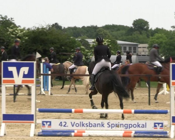 Reitturnier Everswinkel 2022
