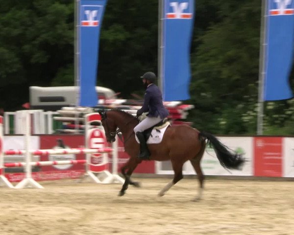 Reitturnier Everswinkel 2022