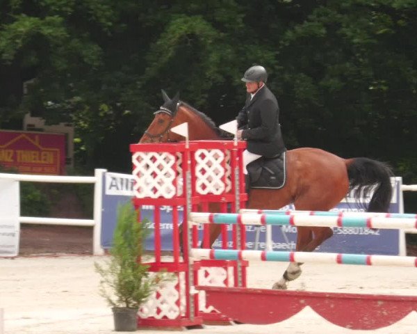 Reitturnier Losheim am See 2022