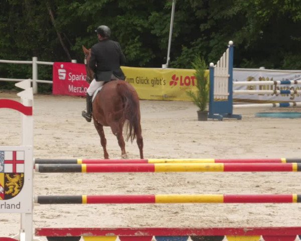 Reitturnier Losheim am See 2022