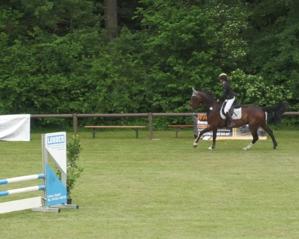 Reitturnier Jettingen 2022