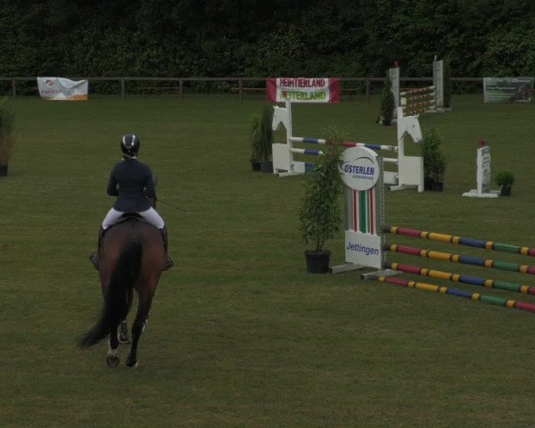 Reitturnier Jettingen 2022