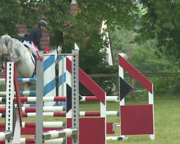 Reitturnier Neustadt/Aisch/Mfr. 2022