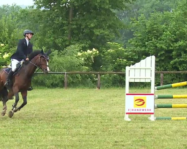 Reitturnier Neustadt/Aisch/Mfr. 2022