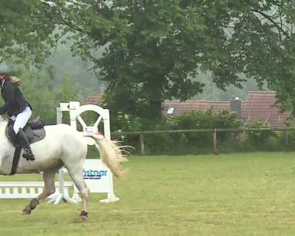 Reitturnier Neustadt/Aisch/Mfr. 2022