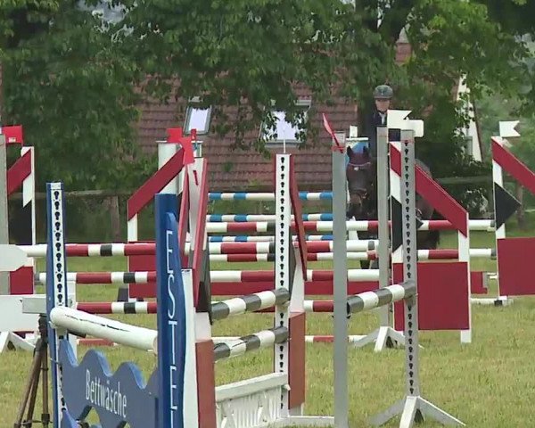 Reitturnier Neustadt/Aisch/Mfr. 2022