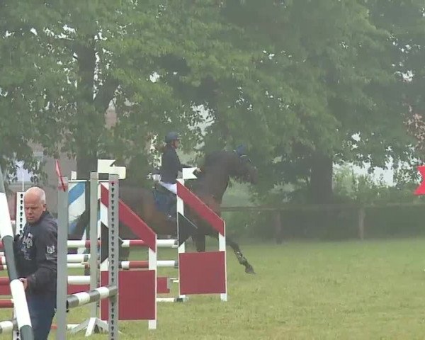 Reitturnier Neustadt/Aisch/Mfr. 2022