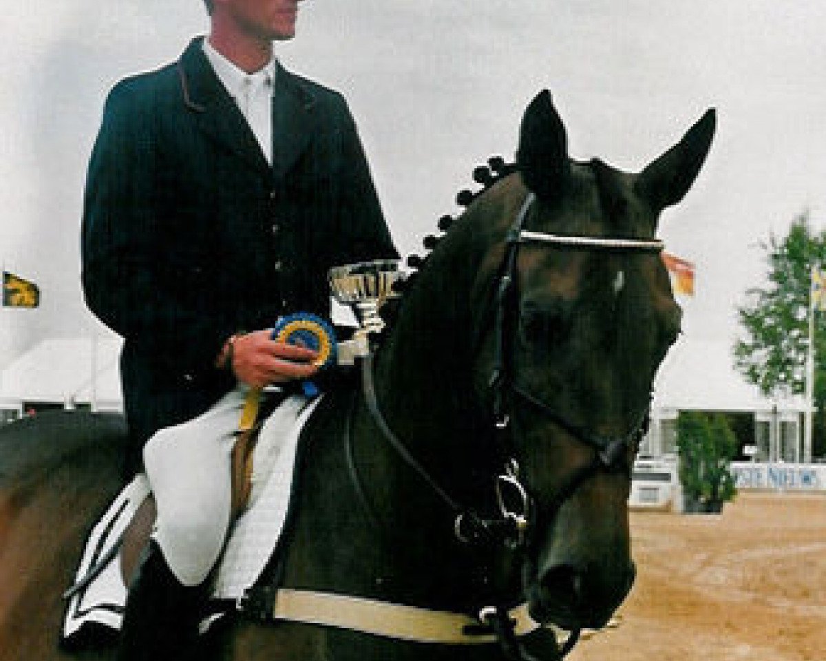 Zuchtstute Caprice d'Ifrane (Selle Français, 1990, von Galoubet A)