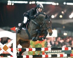 stallion Hbc Regilio (KWPN (Royal Dutch Sporthorse), 1998, from Heartbreaker)