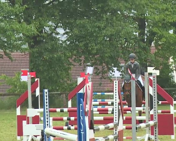 Reitturnier Neustadt/Aisch/Mfr. 2022