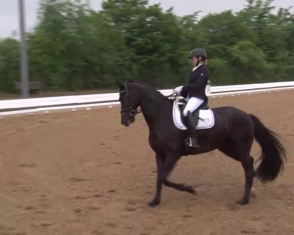 Reitturnier Neustadt/Aisch/Mfr. 2022