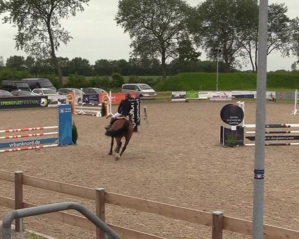 Springturnier Niebüll 2022