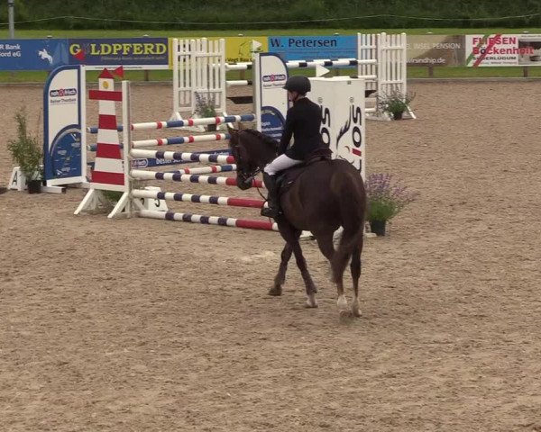 Springturnier Niebüll 2022