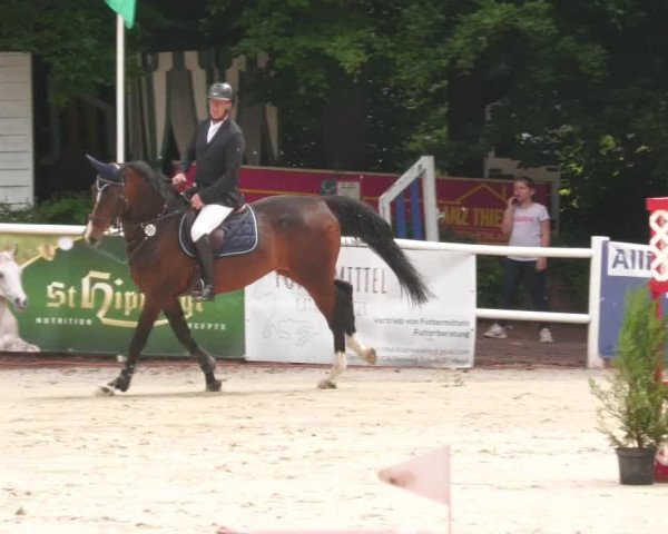 Reitturnier Losheim am See 2022