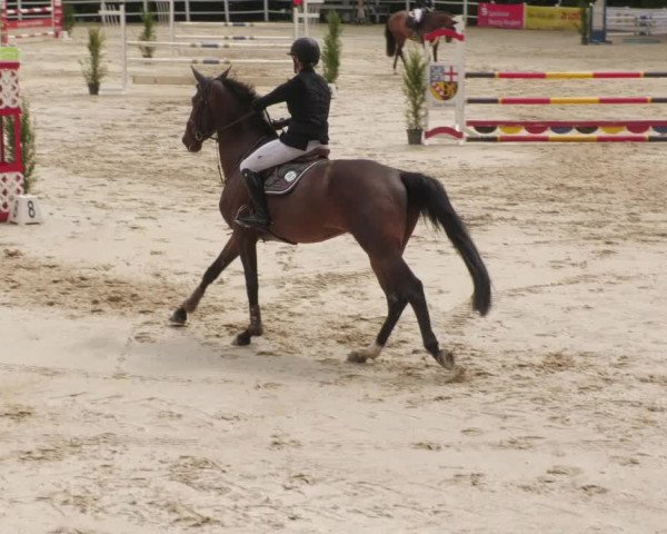 Reitturnier Losheim am See 2022