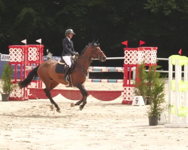 Reitturnier Losheim am See 2022