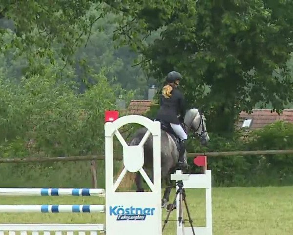 Reitturnier Neustadt/Aisch/Mfr. 2022