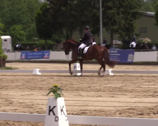 Reitturnier Frechen-Grefrath - Sonnenhof 2022