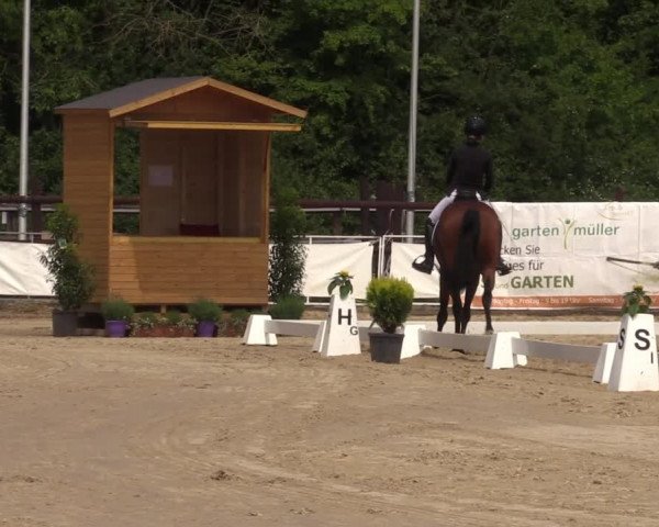 Reitturnier Frechen-Grefrath - Sonnenhof 2022