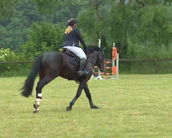 Reitturnier Neustadt/Aisch/Mfr. 2022